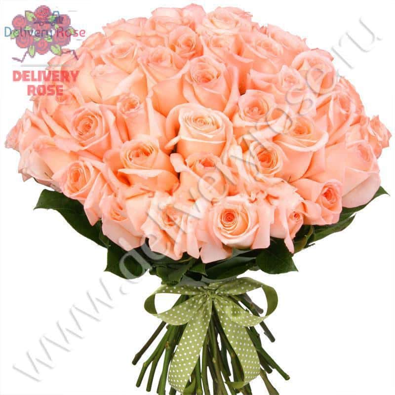 Букет из 51 кремовой розы "Энгейджмент" 70 см