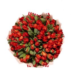 Тюльпаны красные 51 шт
