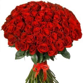 Букет из 101 красной розы "Фридом", Эквадор 70-80 см