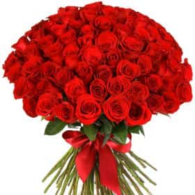 Букет из 75 красных роз "Фридом" 70 см