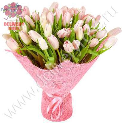 Тюльпаны розовые 51 шт