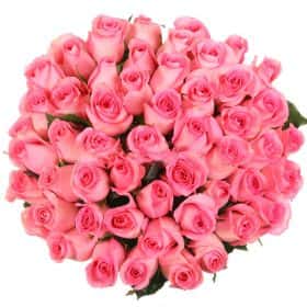 Букет из 51 розовой розы "Ревивал"