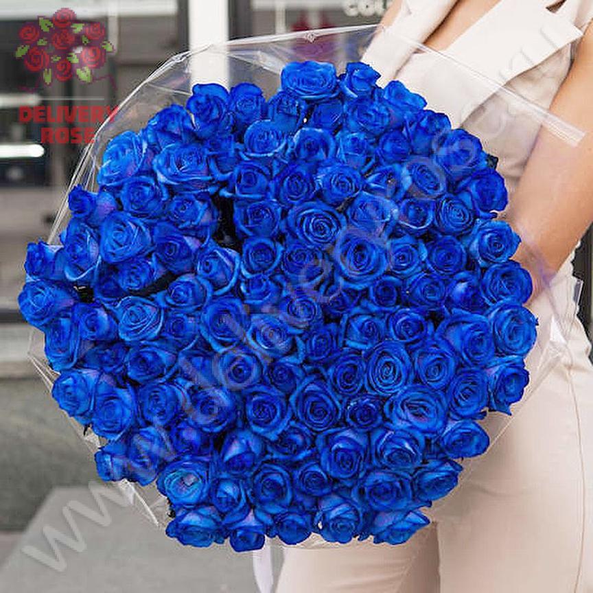 101 синяя роза  70-90 см