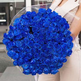 101 синяя роза  70-90 см