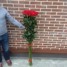 17 гигантских красных роз 170см