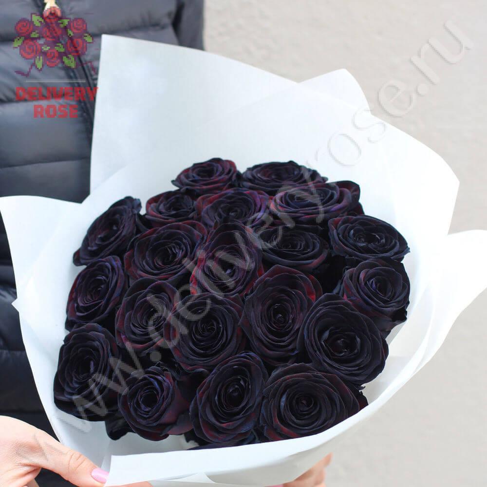 17 натуральных черных роз 70-90 см