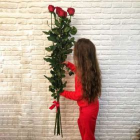 5 гигантских Красных роз 150 см