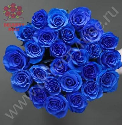 Букет из 25 натуральных синих роз 70-90 см