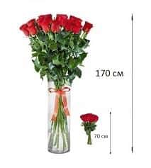 1 красная гигантская роза 170см