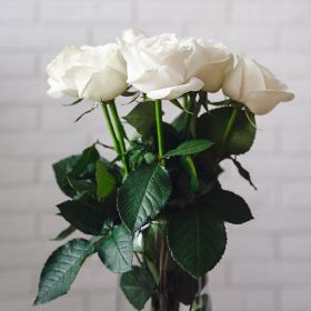 7 белых роз