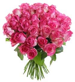 Кенийские розы Розовые 40 см 51 шт