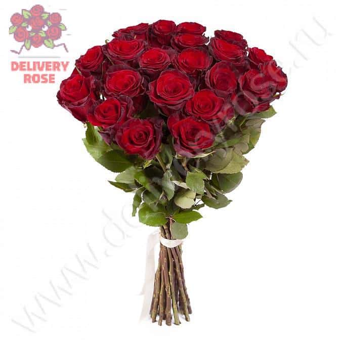 Букет 21 красная роза Премиум