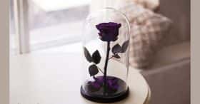 Фиолетовая роза в колбе 30 см