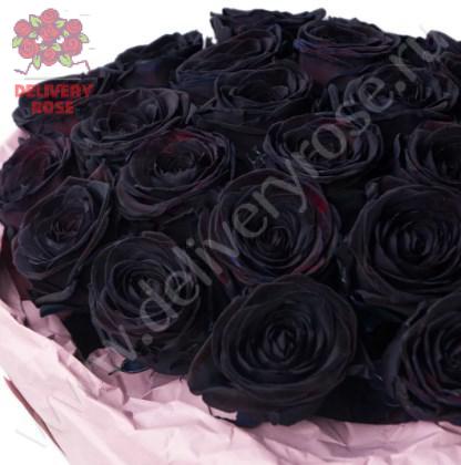 51 натуральная черная роза 70-90 см