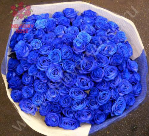 Букет из 51 натуральной синей розы 70-90 см