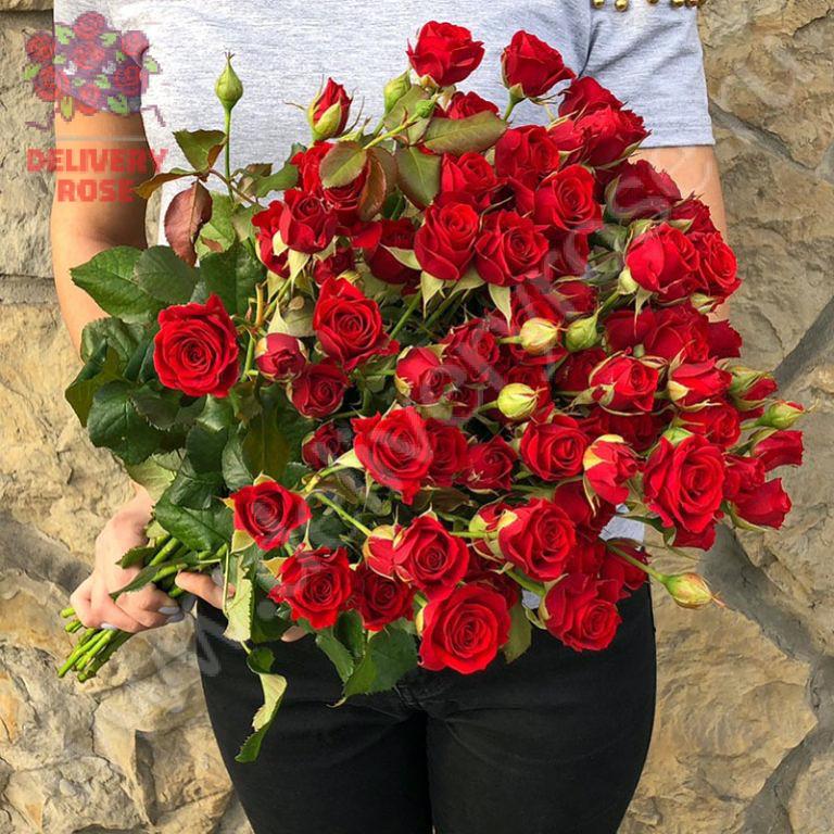 Роза кустовая Алина 70 см
