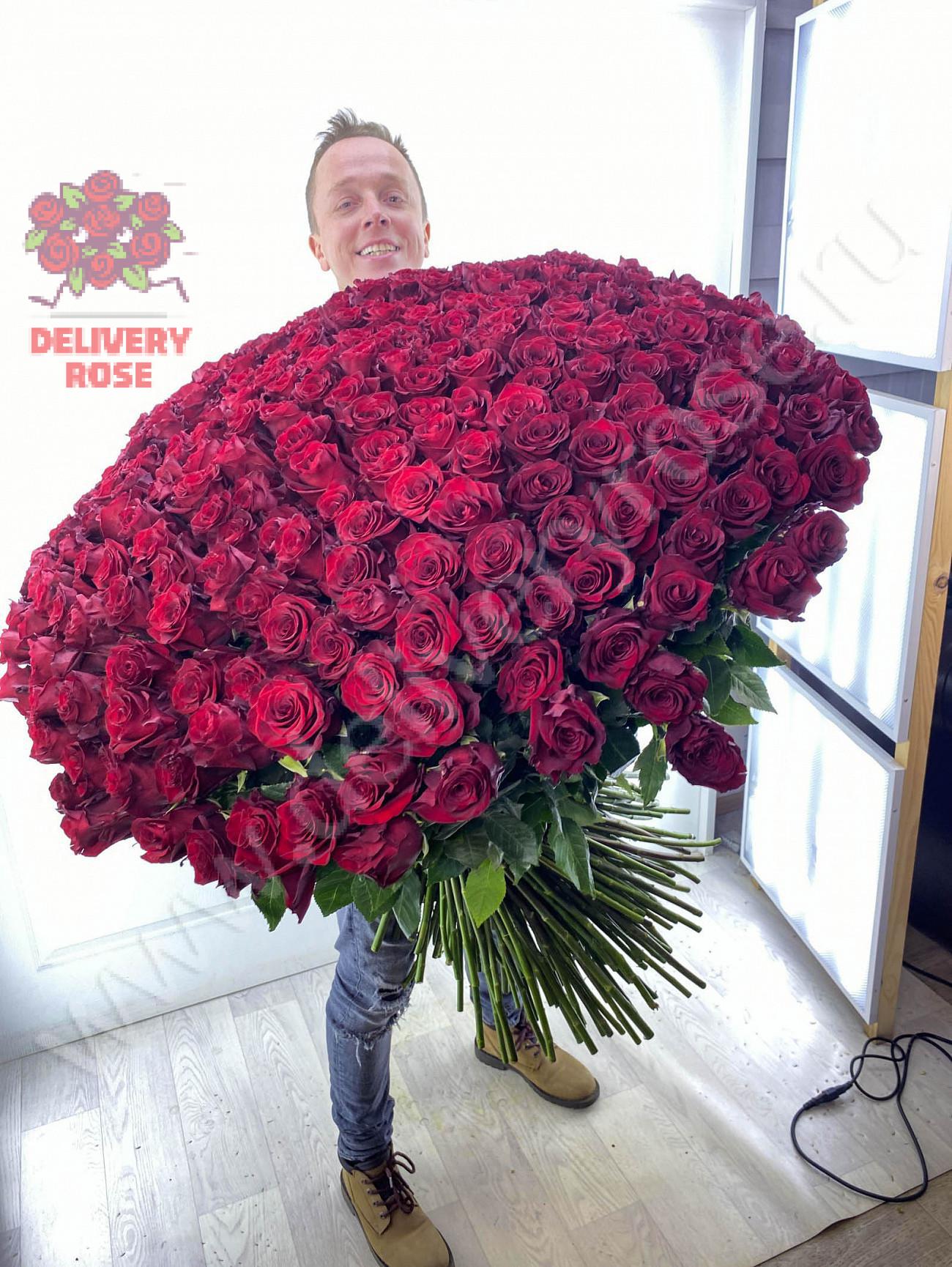 Купить розы в москве с доставкой дешево. 101 Розы 110см Армения. Розы 110 см.