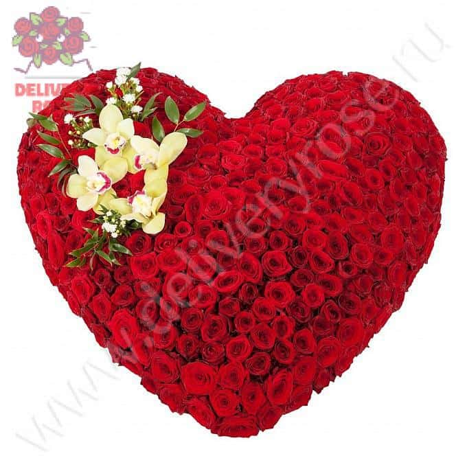 Любящее сердце (251 роза)