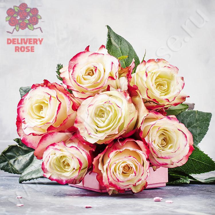Букет “Счастье” из 7 роз с розовой окантовкой