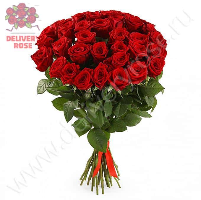 Букет 35 красных роз