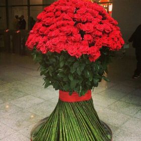 101 гигантская красная роза 150см
