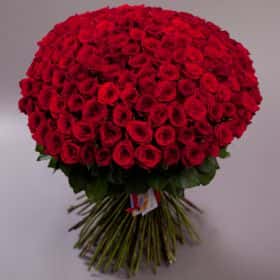 Букет из 151 розы гран при «BIG LOVE»