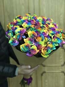 65 голландских радужных роз