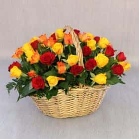 51 красная, желтая и оранжевая роза 40 см. в корзине Cтандарт