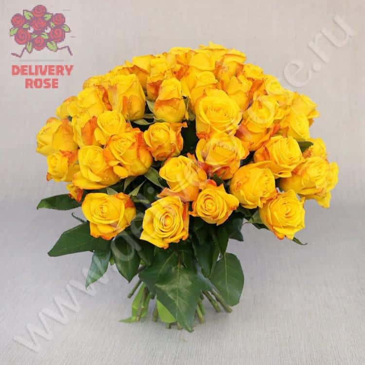 Букет из 51 желтой розы 40 см. Люкс