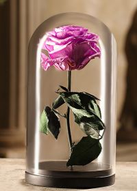 Лиловая роза в колбе 30 см