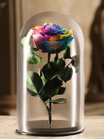 Радужная роза в колбе 30 см