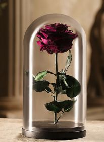 Бордовая роза в колбе 30 см