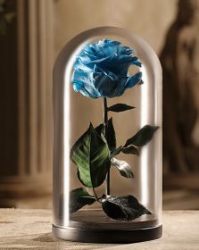 Голубая роза в колбе 30 сантиметров