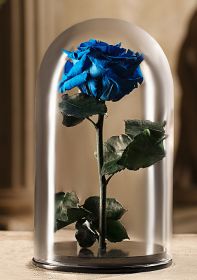 Синяя роза в колбе 30 см