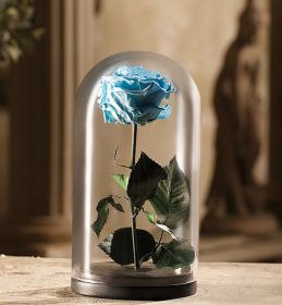 Светло-голубая роза в колбе 30 см