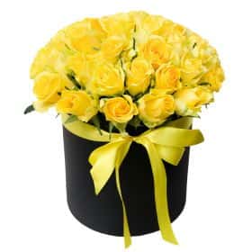 51 желтая роза 40 см. в шляпной коробке Cтандарт