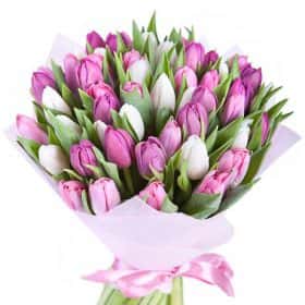 Букет из 51 тюльпана «Весенний поцелуй»