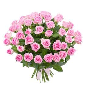 Букет из 51 розовой розы «Великолепный выбор»