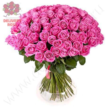 Букет из 101 розовой розы «Wow!»
