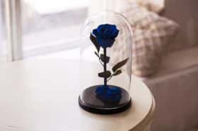 Синяя роза в колбе 30 см