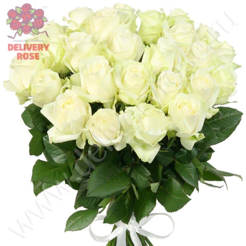 Букет из 25 белых роз "Аваланж"