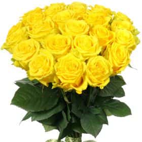 Букет из 25 желтых роз "Пени Лайн"