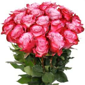 Букет из 25 роз "Дип Перпл" 70 см